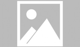 新媒体最新爆料