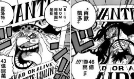 海贼团最新爆料,揭秘神秘宝藏与未知的冒险之旅