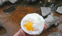 吉林鸡蛋大爷最新爆料网,揭秘鸡蛋市场的惊人内幕！