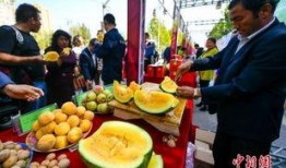 最新吃瓜爆料河北新闻,揭秘幕后真相，带你走进事件核心