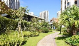 力华花园爆料最新消息,揭秘小区动态与神秘事件