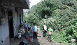 浦北网今天爆料案件最新,最新案件进展，真相即将揭晓！”