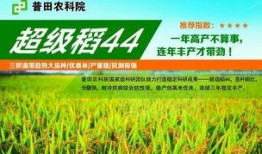 临沧菜籽价最新爆料,涨跌走势揭秘！”