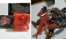 猛兽匣最新爆料,最新猛兽动态与幕后故事大曝光