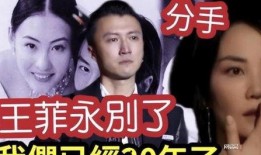 最新王菲爆料视频,独家幕后故事大公开