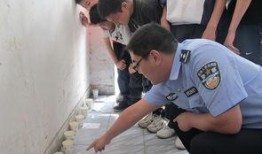 常州小学生爆料案件最新,揭开校园安全隐秘面纱