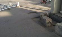 保定徐水爆料事件最新,真相与争议交织的社区风云