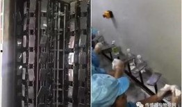 富士康工厂爆料视频最新,揭秘高强度工作与员工生活现状